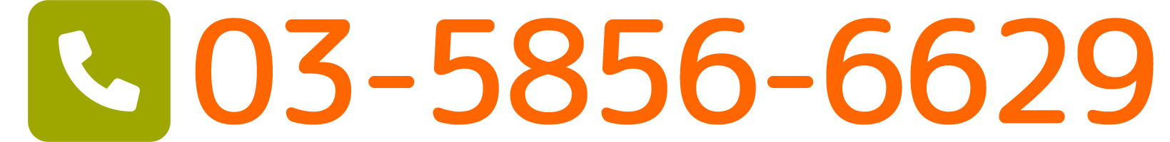 03-5856-6629